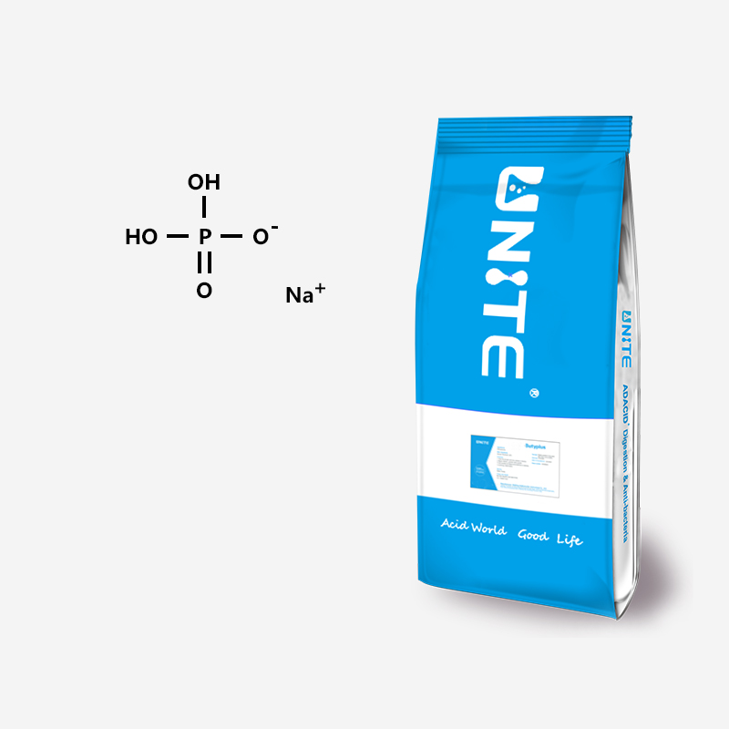 Sodium Dihydrogen Phosphate